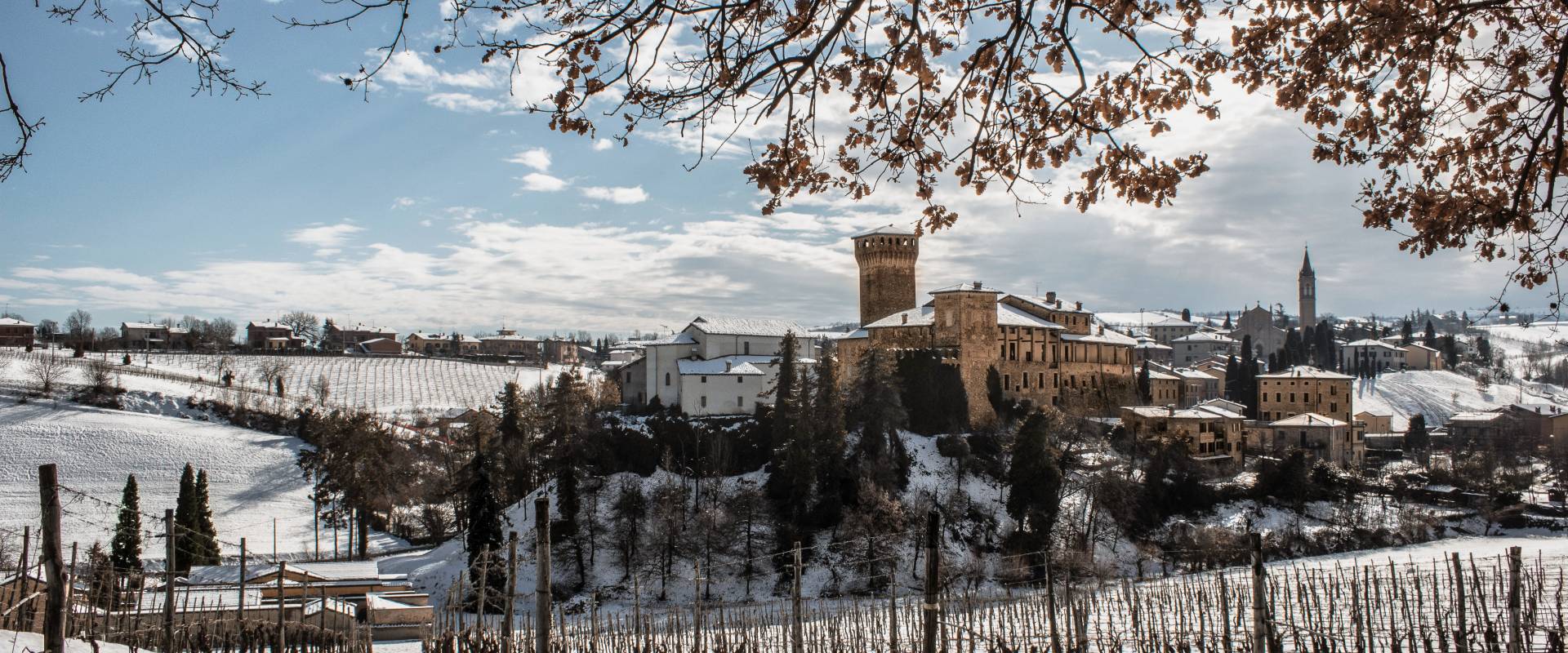 L'inverno fra i filari al Castello di Levizzano foto di Luca Nacchio
